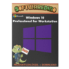 Windows 10 Pro for Workstation