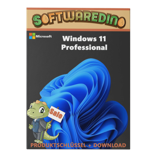 Windows 11 Pro