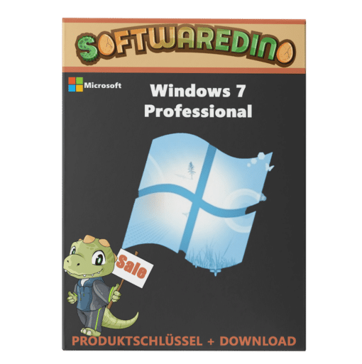 Windows 7 Professional