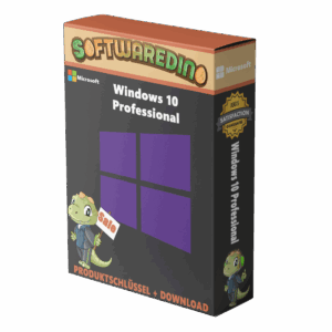 Windows 10 Pro